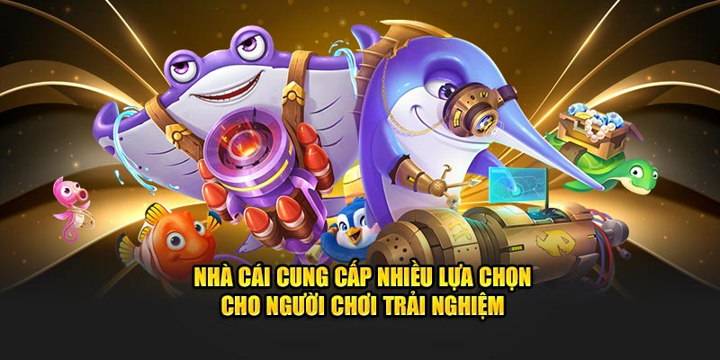 Nhà cái cung cấp nhiều lựa chọn cho người chơi trải nghiệm